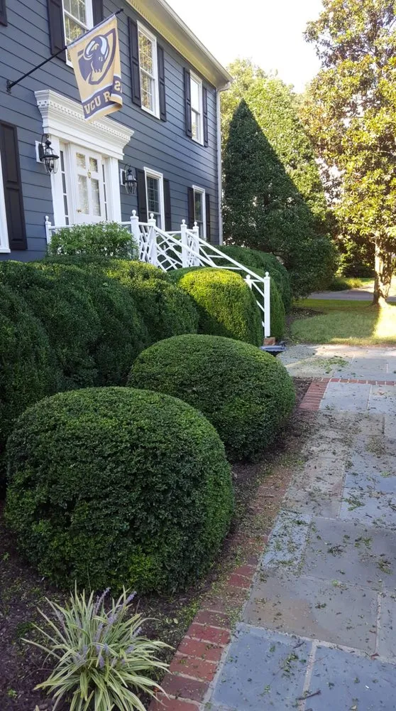 Professional landscape installation near you across Henrico, VA - Fence Line Clean Up