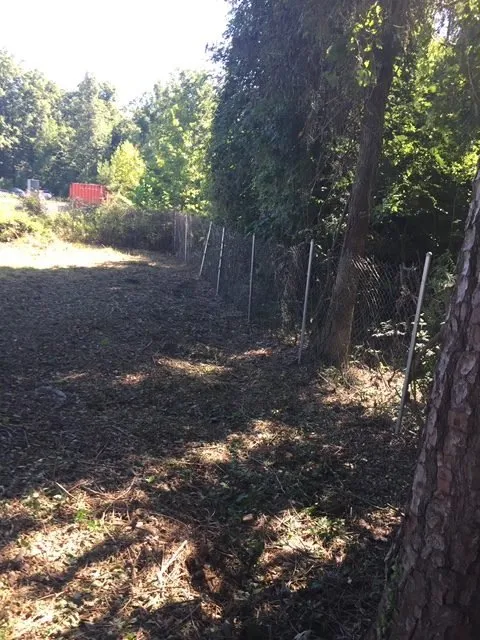 Reliable landscape installation experts serving Henrico, VA - Fence Line Clean Up