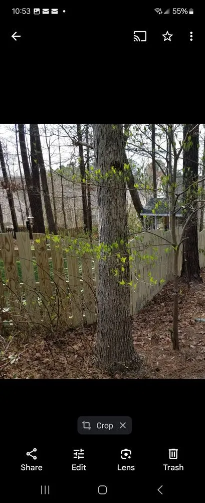 Professional landscape installation for homes across Sanford, NC - Fence Works Of Lee County