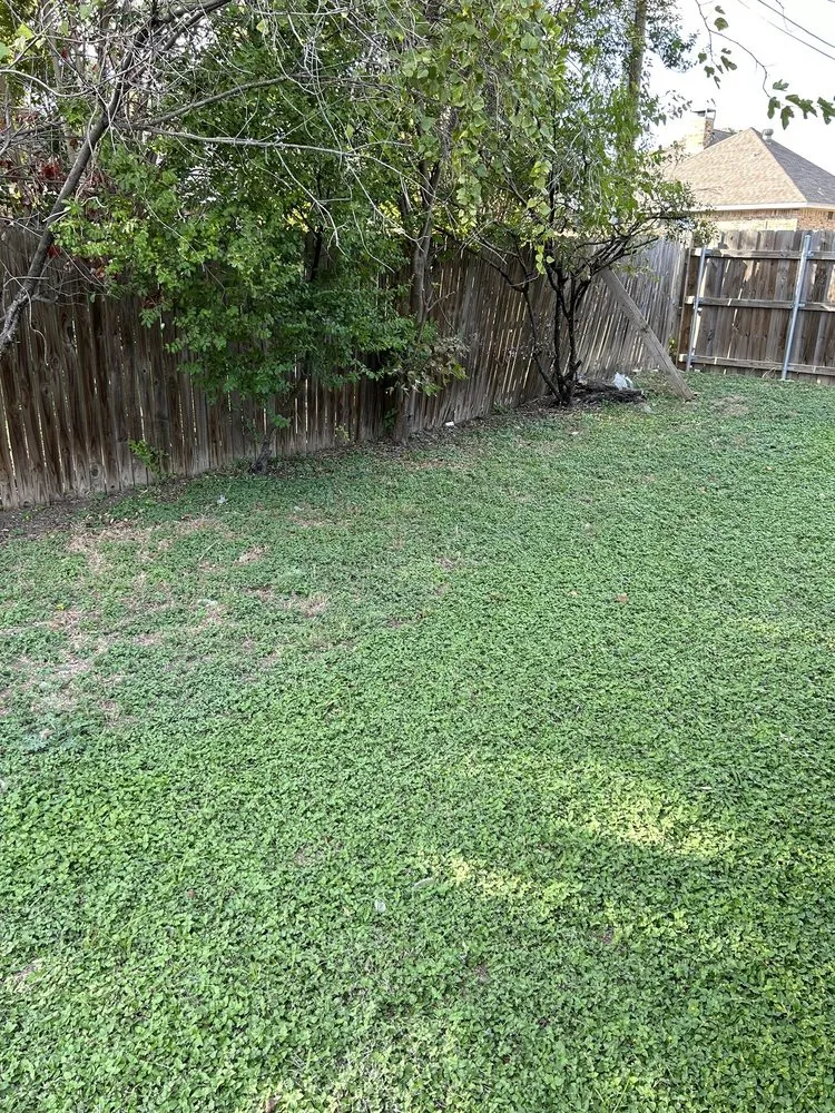 Reliable garden landscaping near you across Desoto, TX - Fences and More