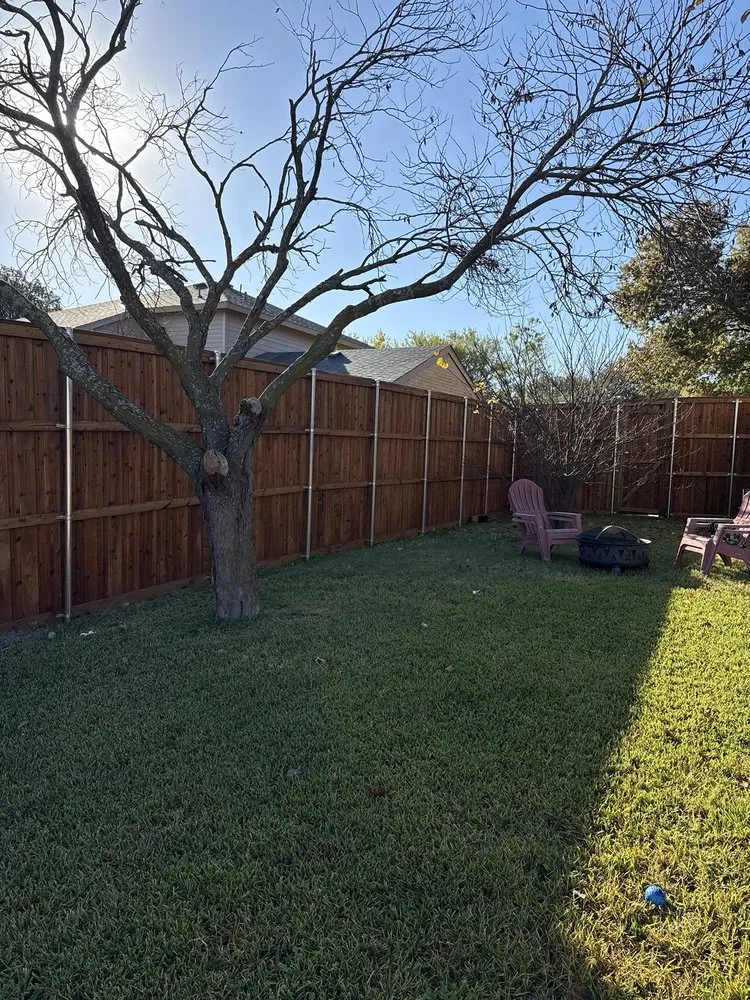 Expert lawn care service experts serving Desoto, TX - Fences and More