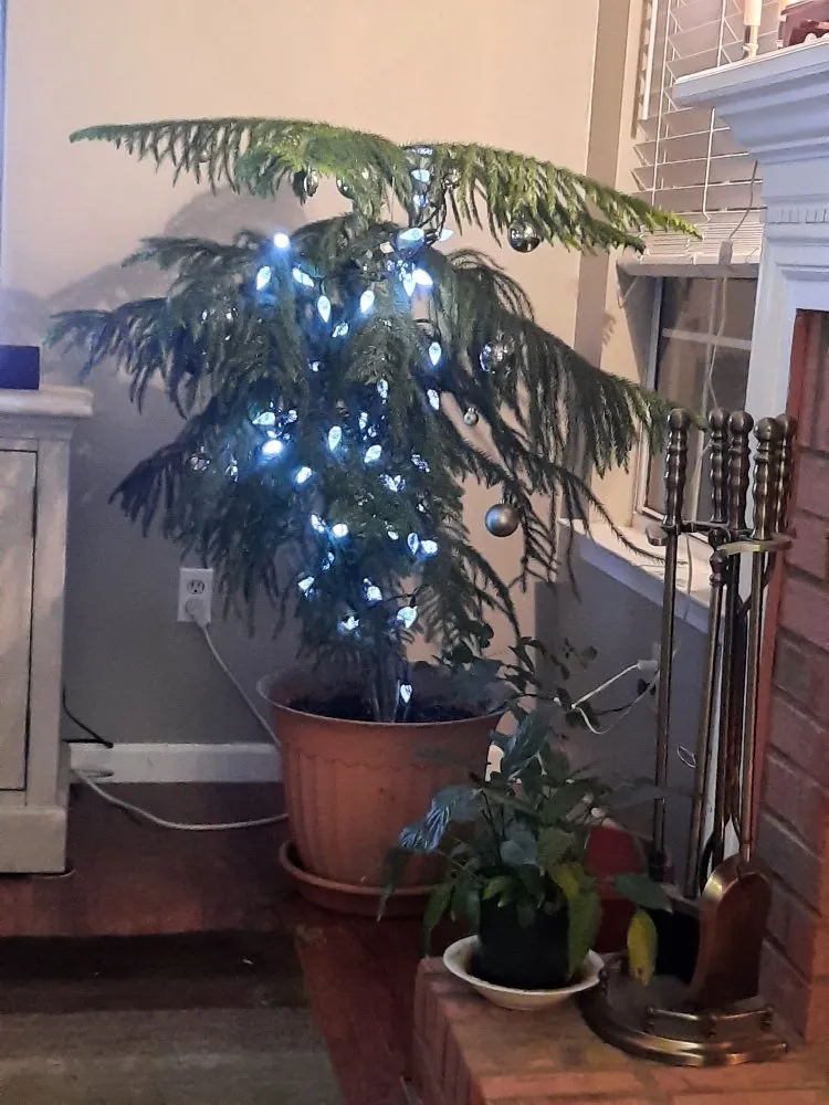 Custom yard maintenance in Acworth, GA - Fences of Georgia