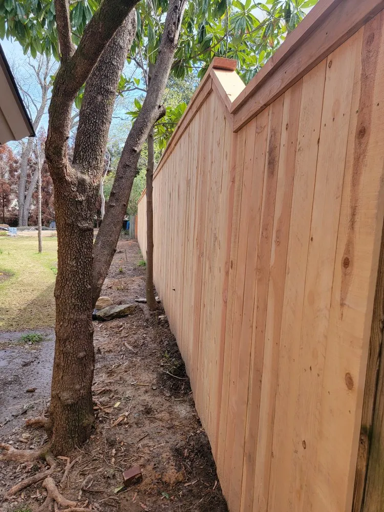 Custom yard cleanup service for year-round maintenance across Memphis, TN - Fences Plus