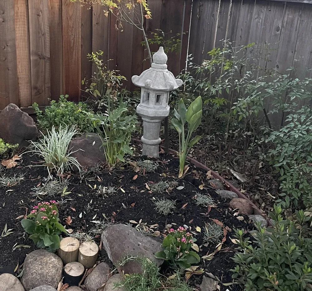 Trusted lawn mowing service in San Francisco, CA by Feng Landscape Design