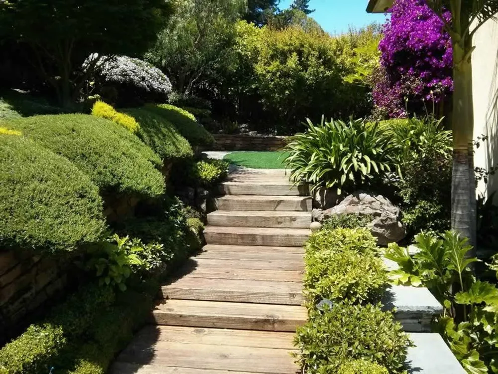 Affordable landscape design in San Francisco, CA by Feng Landscape Design
