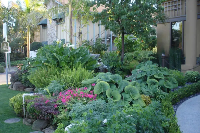 Trusted landscape design experts serving San Francisco, CA - Feng Landscape Design