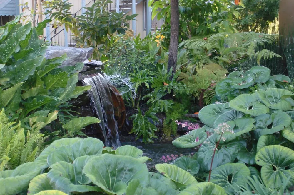 Local lawn care service for homes in San Francisco, CA by Feng Landscape Design