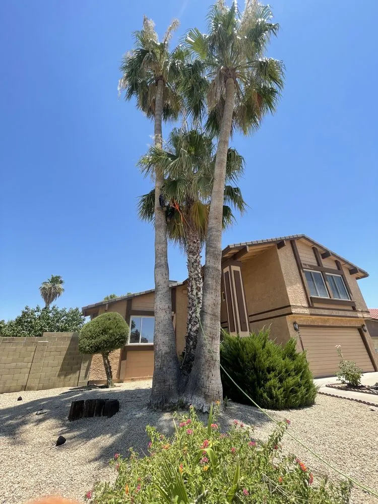 Top-rated landscape design with custom design in Peoria, AZ by Fenix Landscape & Hard Scape