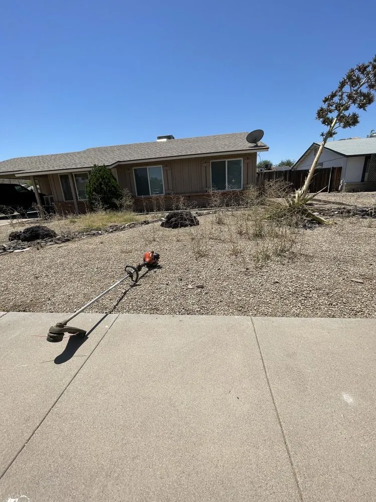Trusted residential landscaping for outdoor upgrades in Peoria, AZ by Fenix Landscape & Hard Scape
