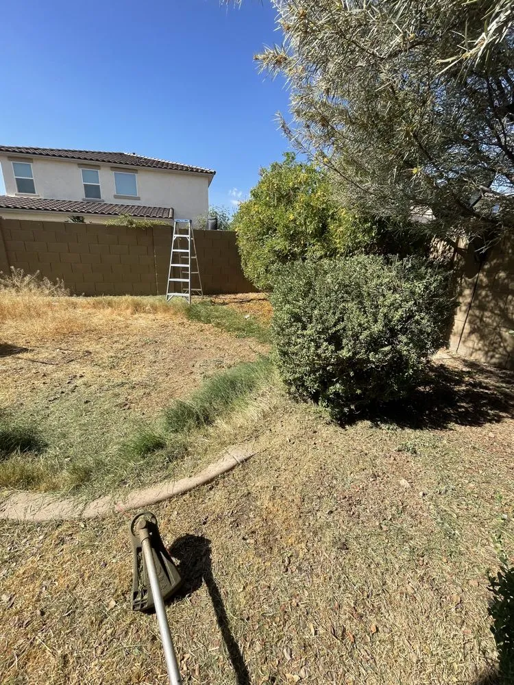 Affordable garden landscaping in Peoria, AZ by Fenix Landscape & Hard Scape