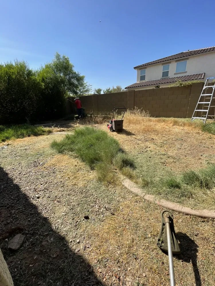 Reliable lawn mowing service experts serving Peoria, AZ - Fenix Landscape & Hard Scape