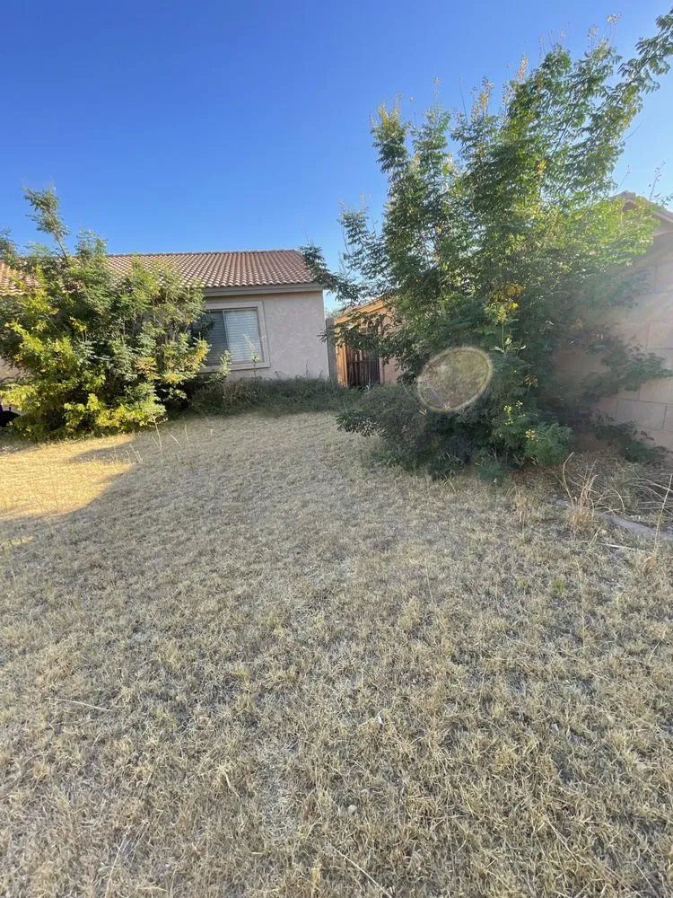 Local lawn mowing service in Peoria, AZ by Fenix Landscape & Hard Scape