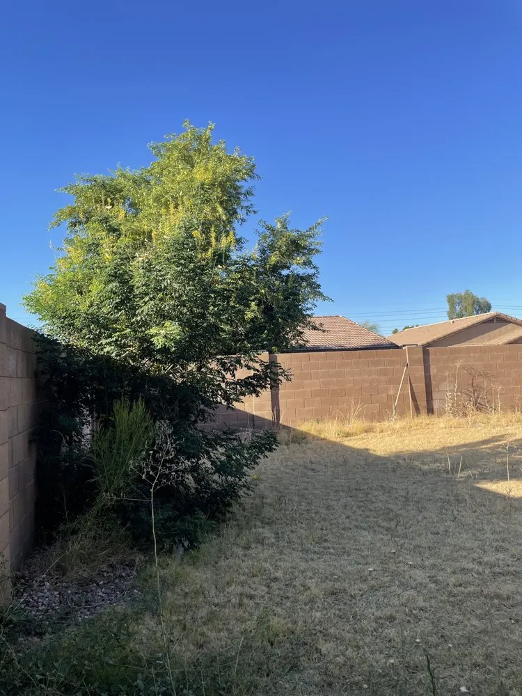 Trusted landscaping services experts serving Peoria, AZ - Fenix Landscape & Hard Scape