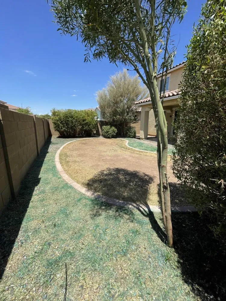 Expert landscaping services in Peoria, AZ by Fenix Landscape & Hard Scape