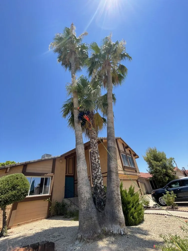 Custom landscaping services in Peoria, AZ - Fenix Landscape & Hard Scape