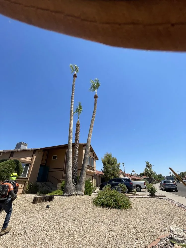 Top-rated residential landscaping in Peoria, AZ - Fenix Landscape & Hard Scape