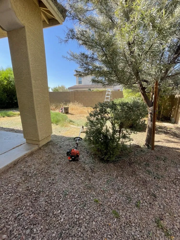 Local garden landscaping experts serving Peoria, AZ - Fenix Landscape & Hard Scape