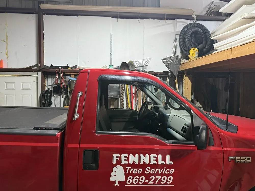 Custom yard cleanup service for outdoor upgrades in Baden, PA by Fennell Tree Service