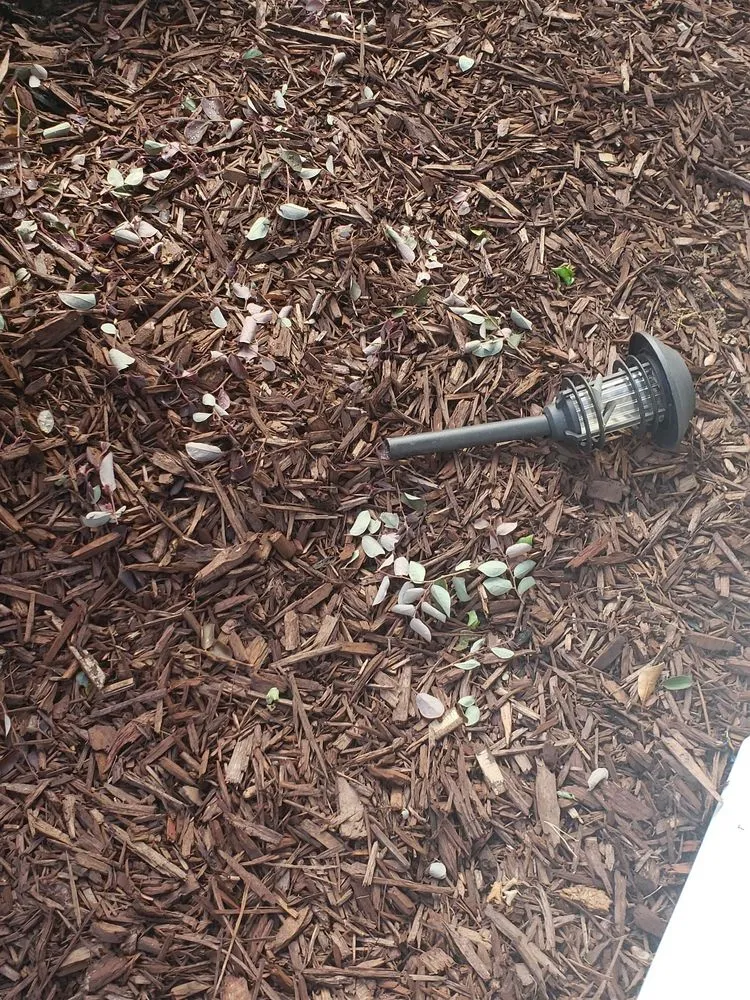 Local yard maintenance near you in Loganville, GA by Fennscapes