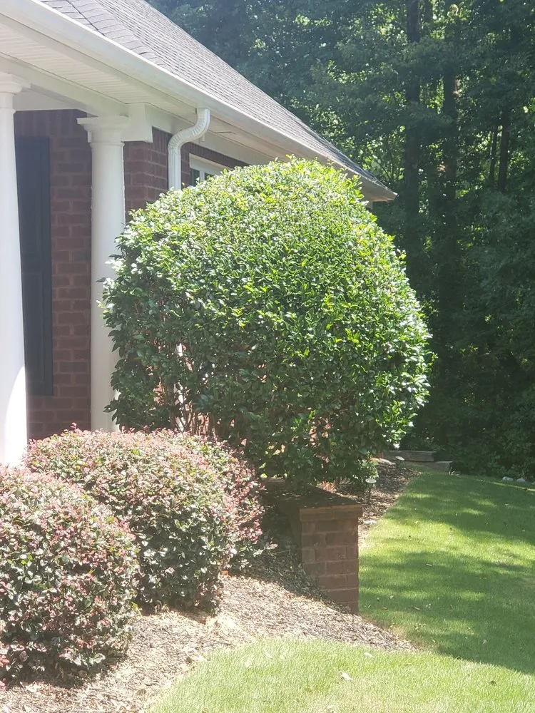 Custom lawn care service in Loganville, GA by Fennscapes