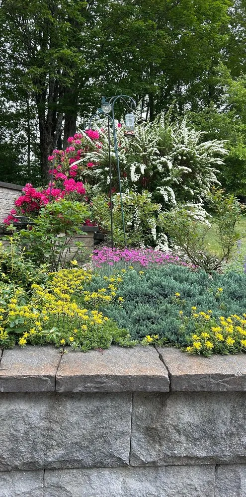 Top-rated lawn care service in Swanzey, NH by Fenrir Labor