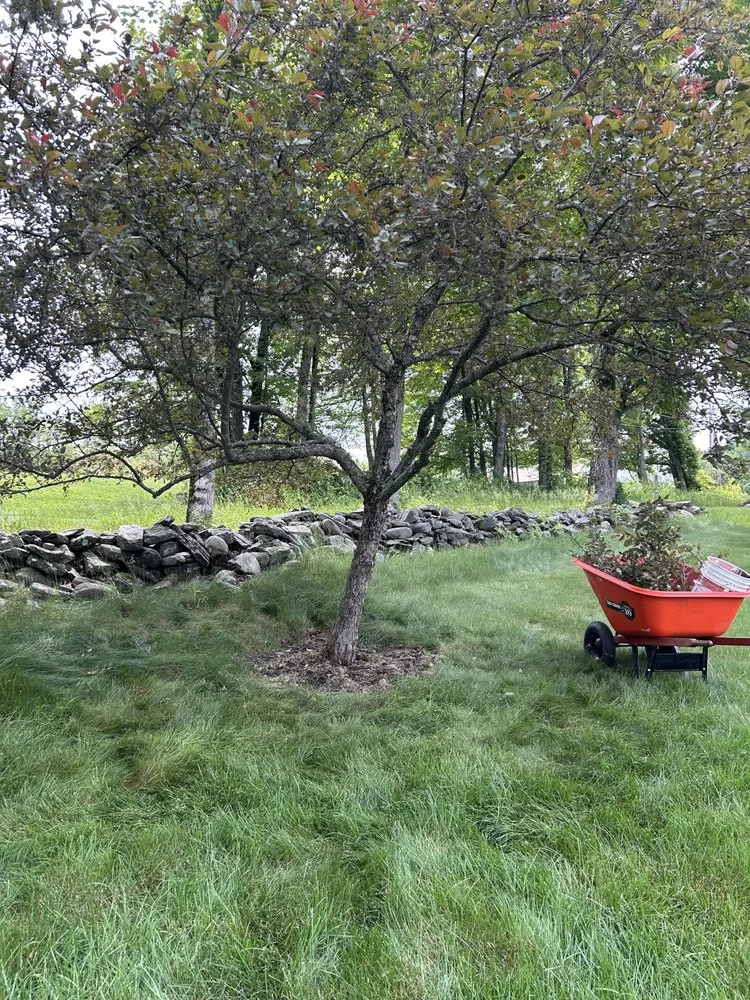 Expert residential landscaping in Swanzey, NH by Fenrir Labor