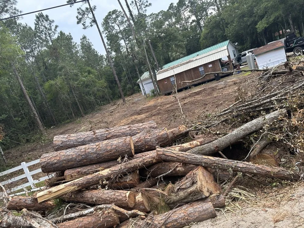 Local yard cleanup service for residential properties across Palm Coast, FL - Fenrir Stump Grinding