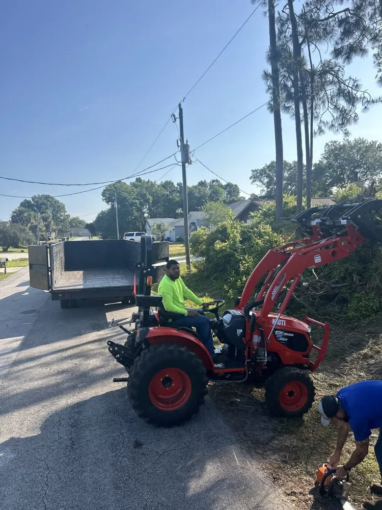 Affordable yard maintenance for outdoor upgrades across Palm Coast, FL - Fenrir Stump Grinding