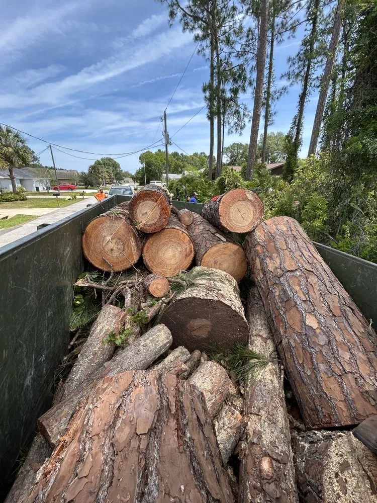 Local landscape installation in Palm Coast, FL - Fenrir Stump Grinding