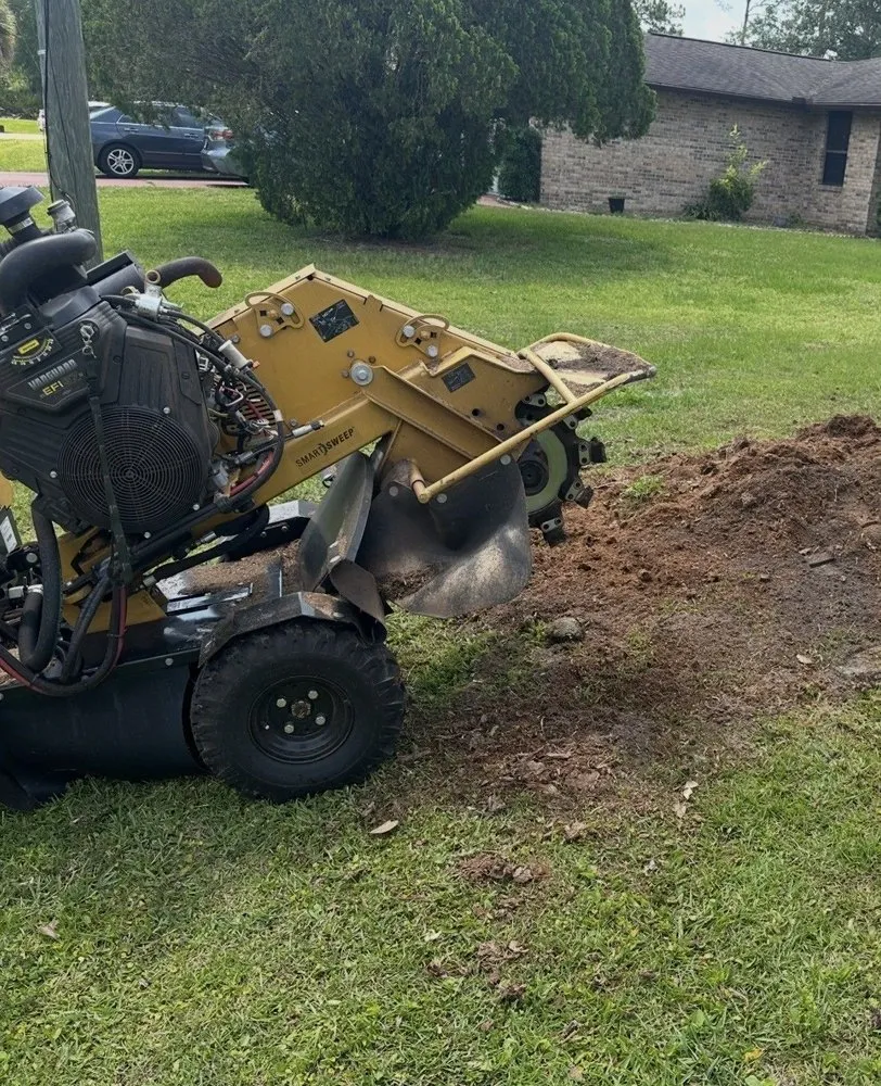 Expert yard cleanup service in Palm Coast, FL - Fenrir Stump Grinding