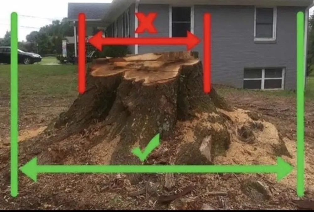 Reliable landscape installation experts serving Palm Coast, FL - Fenrir Stump Grinding