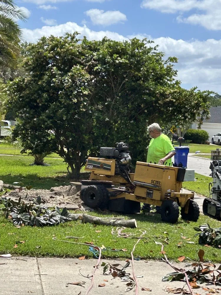 Expert garden landscaping in Palm Coast, FL by Fenrir Stump Grinding