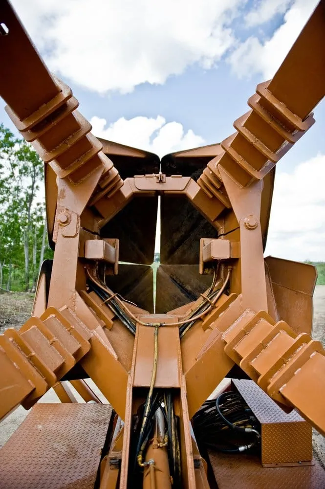 Professional yard cleanup service in Fentress, TX by Fentress Tree Farm