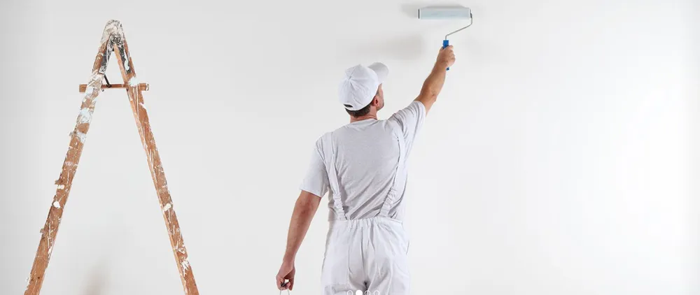 Top-rated yard cleanup service in Boston, MA - Fenway Backbay Plowing And Management