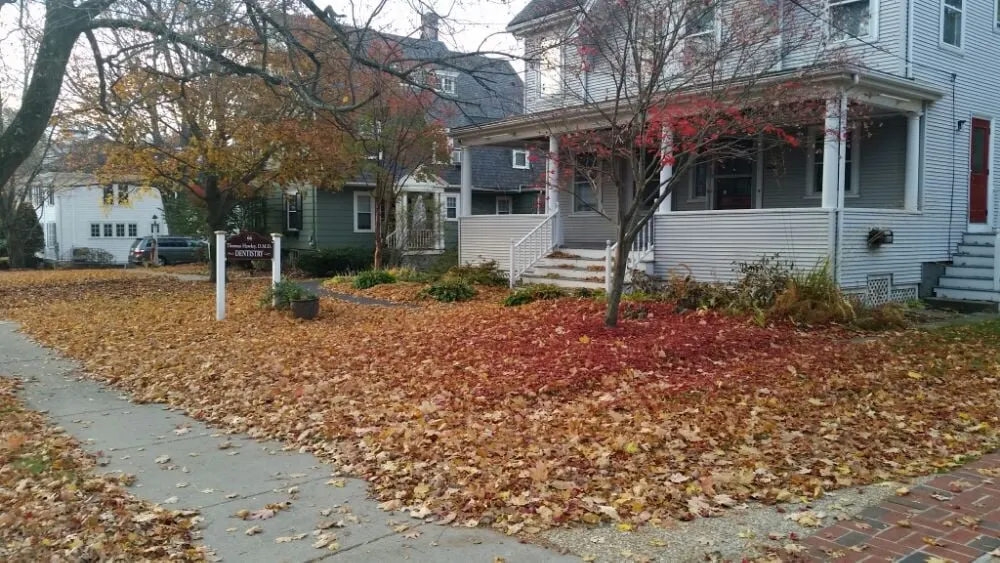 Professional landscape installation for year-round maintenance in Wrentham, MA by Fenway Landscaping