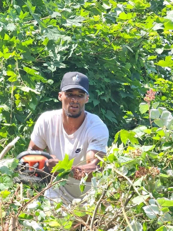 Affordable yard maintenance for residential properties across New London, CT - Feo Brothers Lawncare