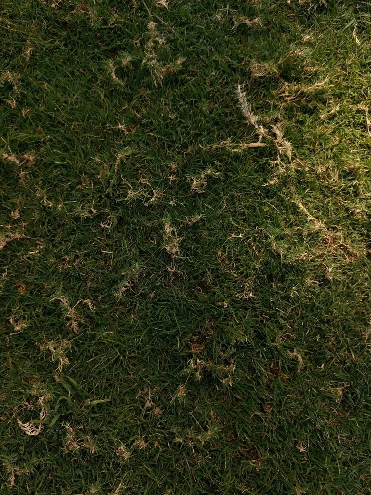 Affordable yard cleanup service for residential properties in New London, CT by Feo Brothers Lawncare