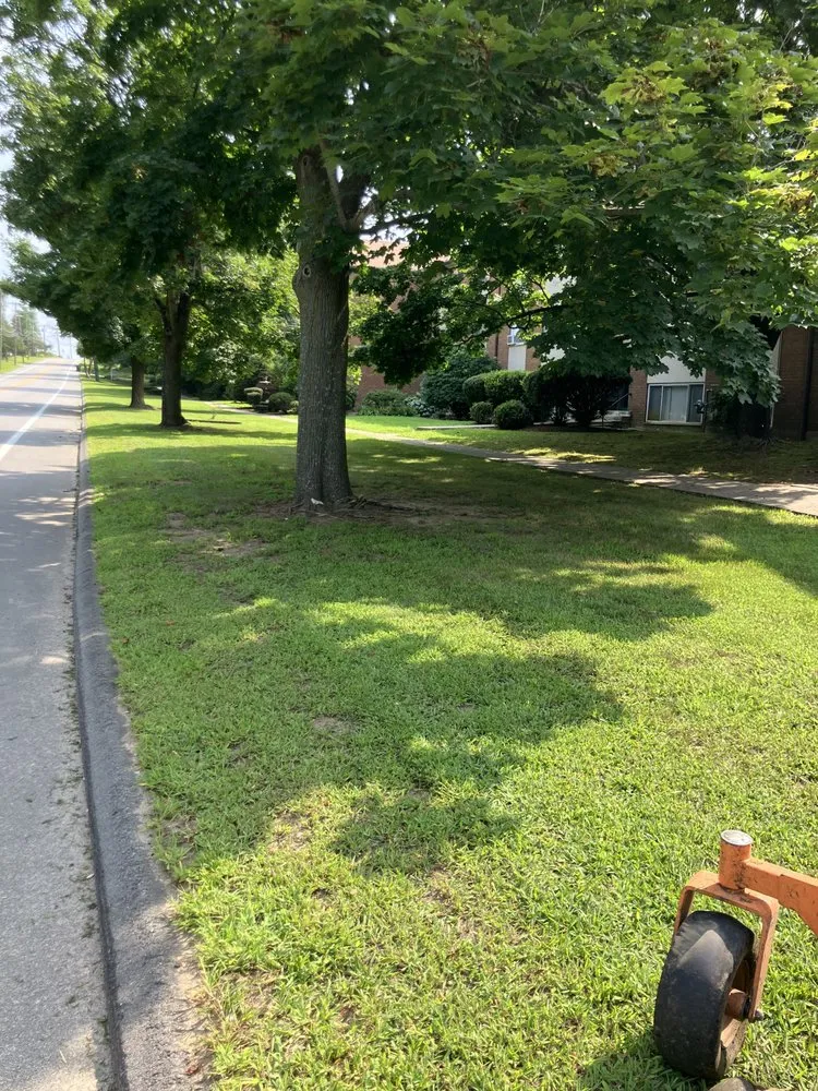 Expert landscape installation for outdoor upgrades in New London, CT by Feo Brothers Lawncare