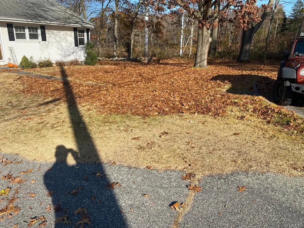 Reliable lawn care service for homes in New London, CT by Feo Brothers Lawncare