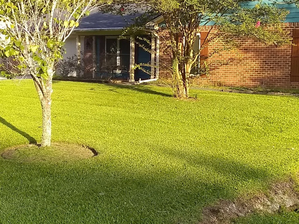 Local garden landscaping in Arcadia, FL by Fer Fer's Cleaning Services