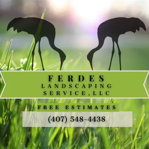 Affordable yard cleanup service for beautiful yards across Sanford, FL - Ferdes Landscaping Service