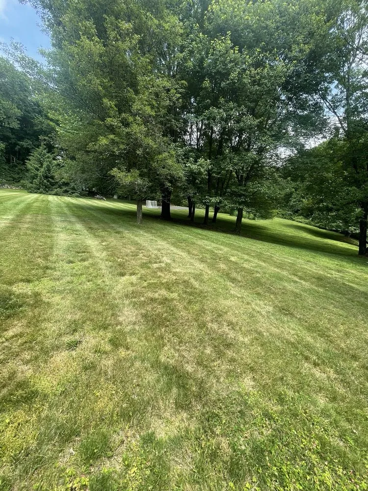 Reliable yard cleanup service for beautiful yards across Katonah, NY - Ferdy’s Landscaping