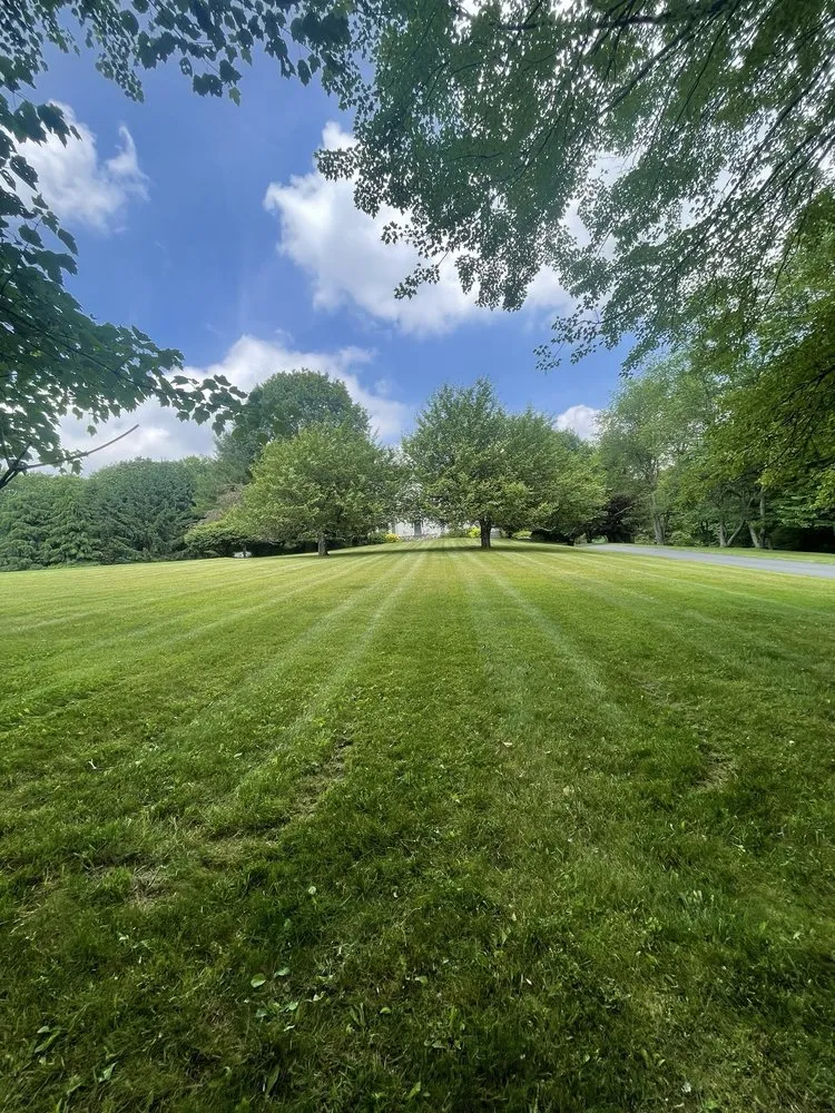 Professional yard maintenance in Katonah, NY - Ferdy’s Landscaping