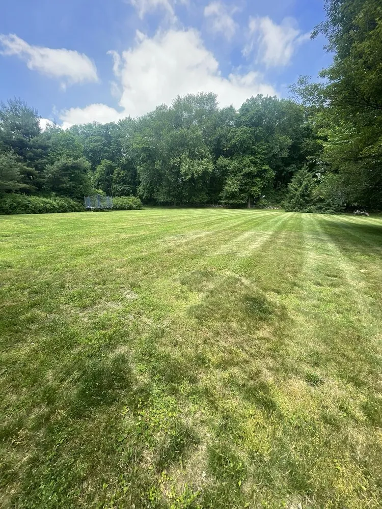 Top-rated yard maintenance experts serving Katonah, NY - Ferdy’s Landscaping