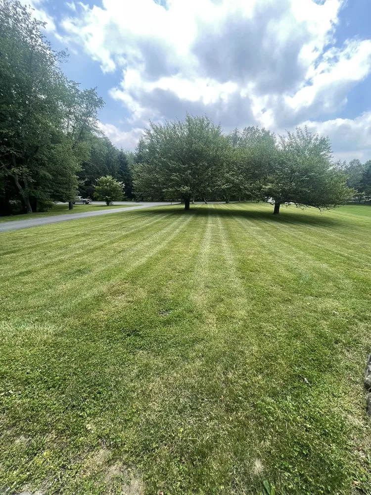 Expert landscape installation for beautiful yards in Katonah, NY by Ferdy’s Landscaping