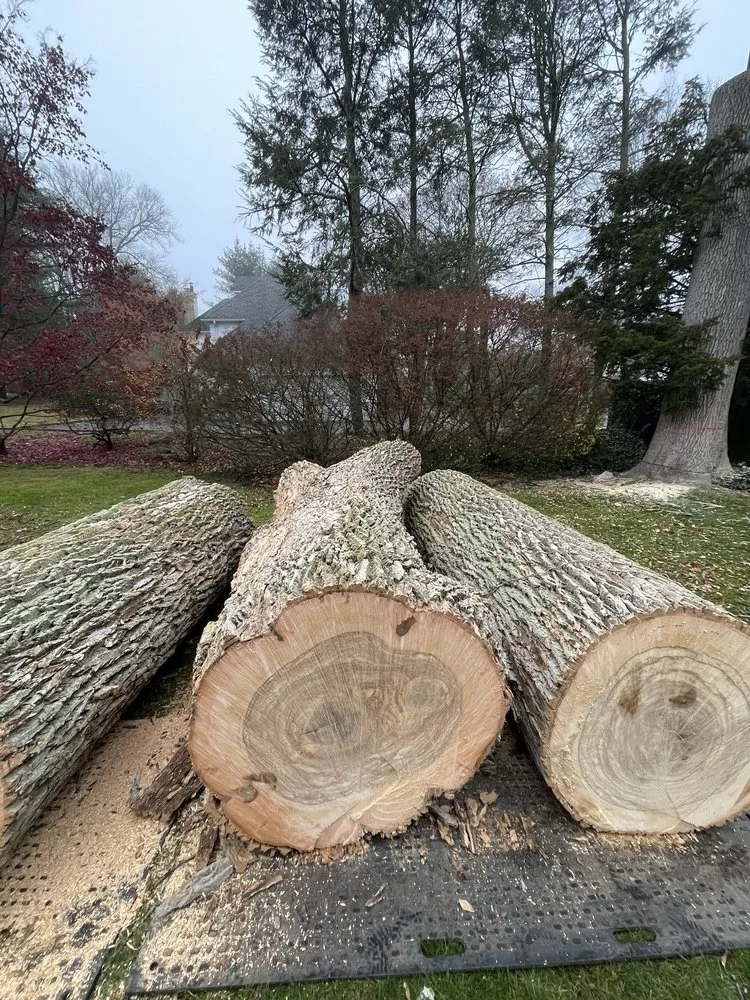 Affordable landscape design in Katonah, NY - Ferdy’s Landscaping