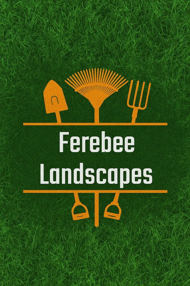 Expert yard cleanup service in Albuquerque, NM by Ferebee Landscapes