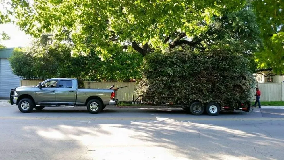 Top-rated lawn care service experts serving Waco, TX - Feregrino's Landscaping & More