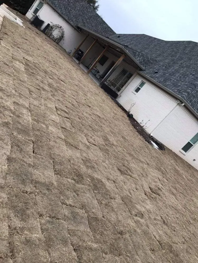 Trusted landscape design experts serving Waco, TX - Feregrino's Landscaping & More