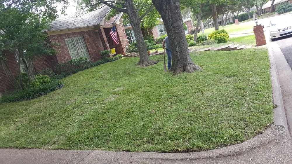 Affordable yard maintenance in Waco, TX by Feregrino's Landscaping & More